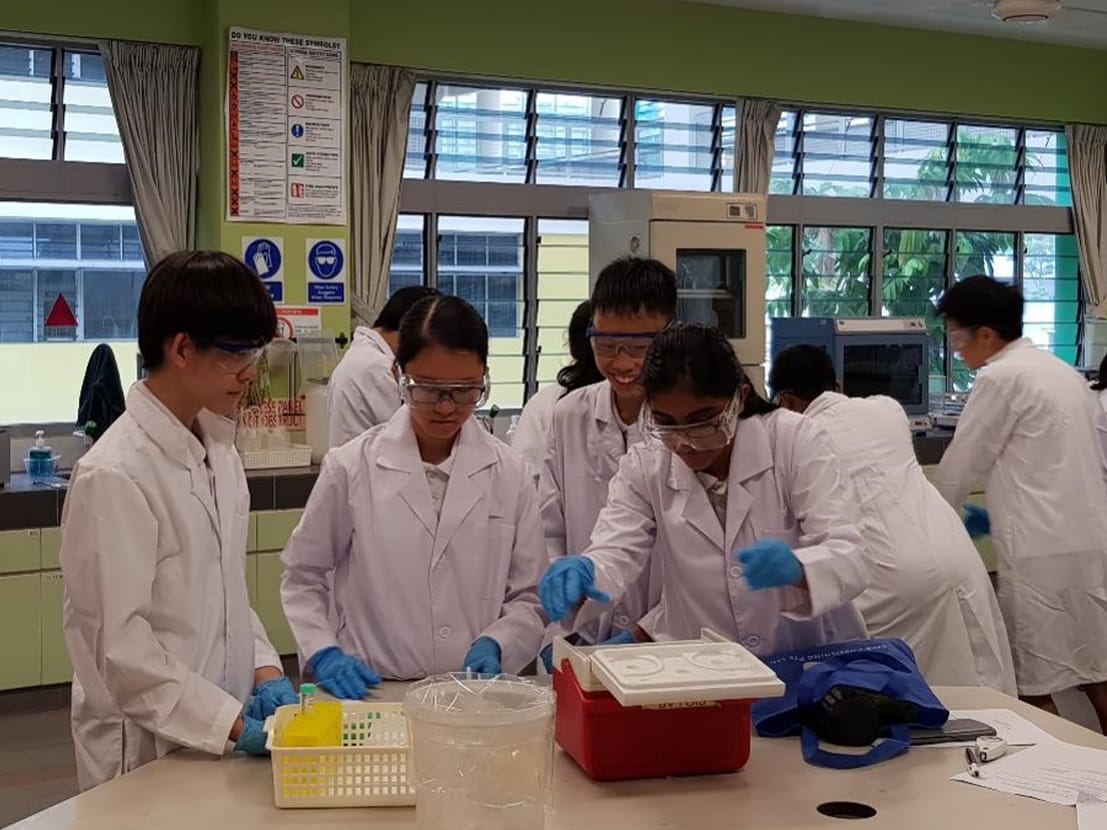 Real world connections: Investigating Enzymatic Reactions